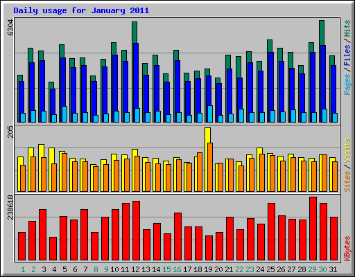 Daily usage for January 2011