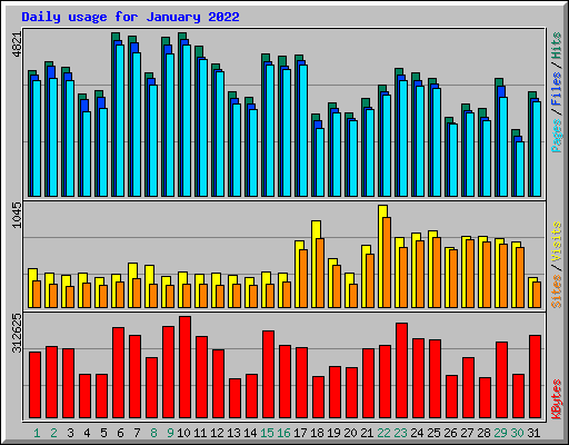 Daily usage for January 2022