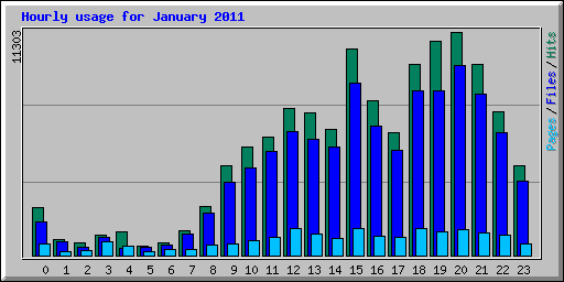 Hourly usage for January 2011