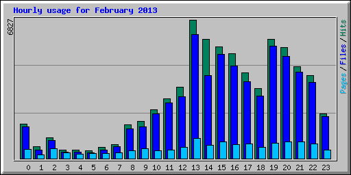 Hourly usage for February 2013