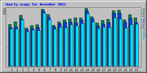 Hourly usage for November 2021