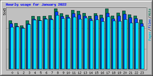 Hourly usage for January 2022