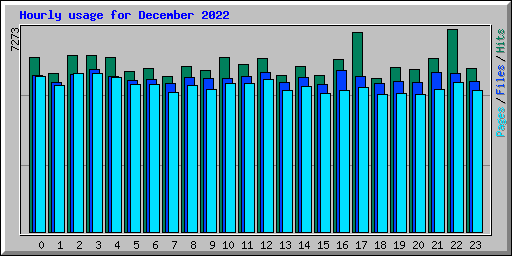 Hourly usage for December 2022