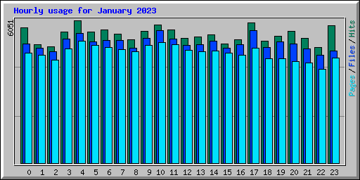 Hourly usage for January 2023