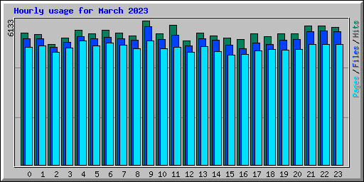 Hourly usage for March 2023