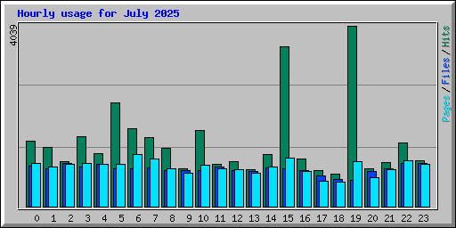 Hourly usage for July 2025